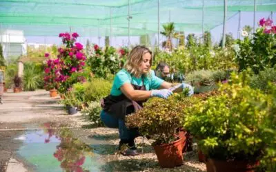 Why One Full-Service Landscaping Provider Beats Managing Multiple Contractors