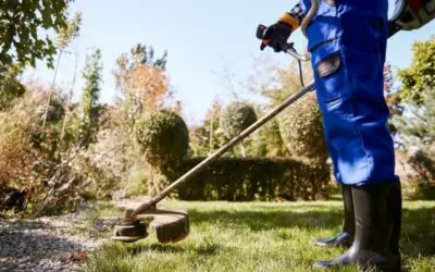 What to Look for in a Reliable Lawn Maintenance Service