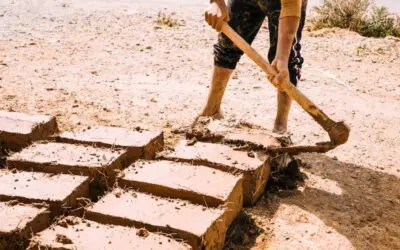 Why Hardscape Comes First in New Construction Homes