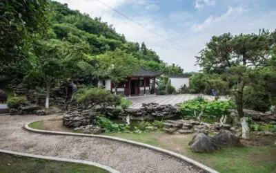 Deciding Between Natural Stone and Pavers for Your Hardscape