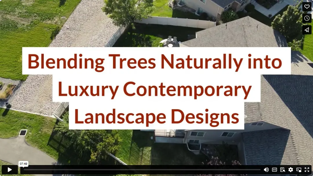 Blending Trees Naturally into Luxury Contemporary Landscape Designs