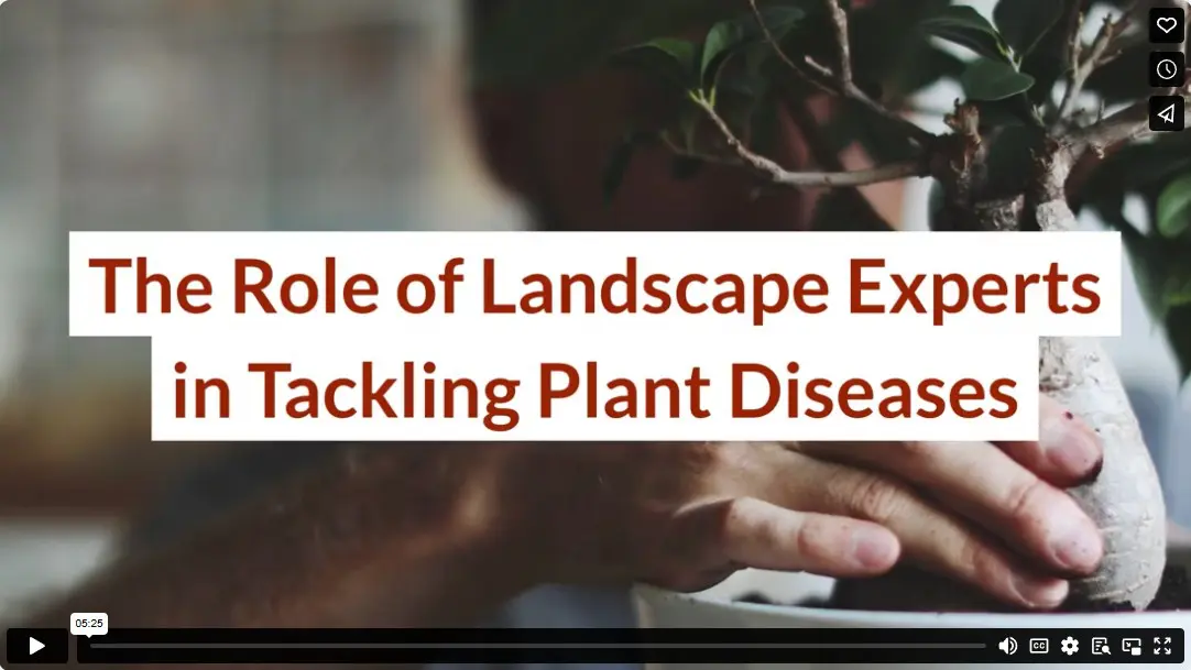 The Role of Landscape Experts in Tackling Plant Diseases