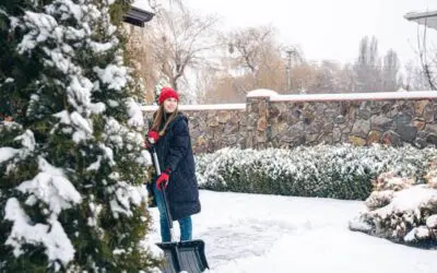 Garden Winterization Tips for Homeowners in Virginia