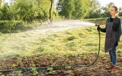 Lawn Care Tips Before and After Aeration and Overseeding