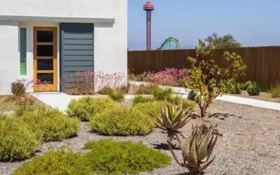 What’s Behind the Buzzword “Low Maintenance” in Landscaping?