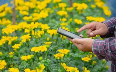 Enhance Water Conservation in Your Landscape with Smart Irrigation Design