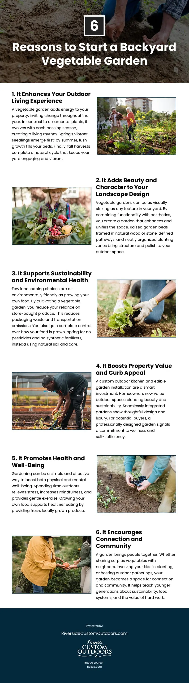 6 Reasons to Start a Backyard Vegetable Garden Infographic 6 Reasons to Start a Backyard Vegetable Garden Infographic