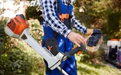 When to Change Your Lawn Care Company
