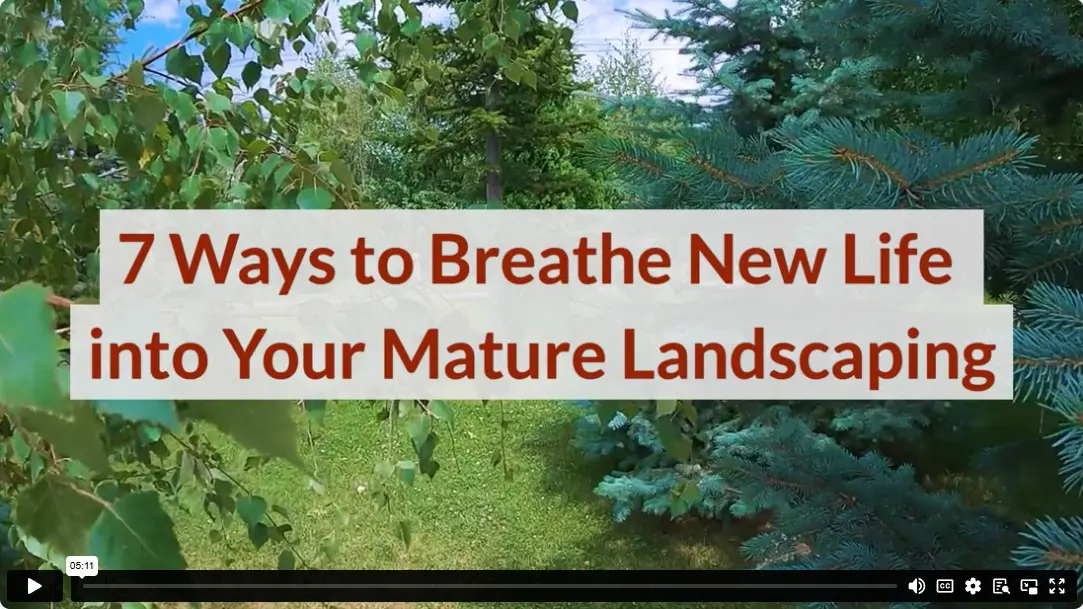 7 Ways to Breathe New Life into Your Mature Landscaping