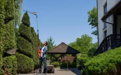 How Consistent Softscape Maintenance Protects Your Landscape in Summer