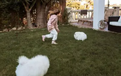 How Healthy Soil Creates a Safer Lawn for Pets