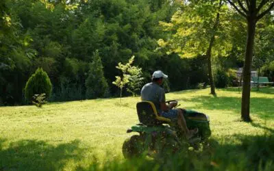 Why Great Landscaping Care Adapts to the Changing Needs of Your Garden