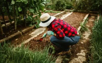 7 Ways to Make Your Small Garden Feel Bigger