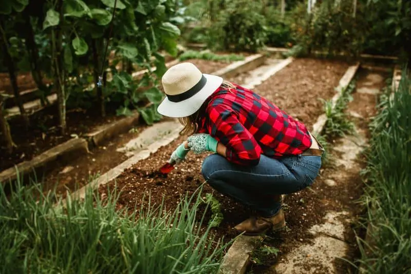 Make Your Small Garden Feel Bigger Make Your Small Garden Feel Bigger