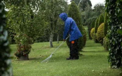 Think Your Yard Only Needs a Surface Cleanup? Think Again