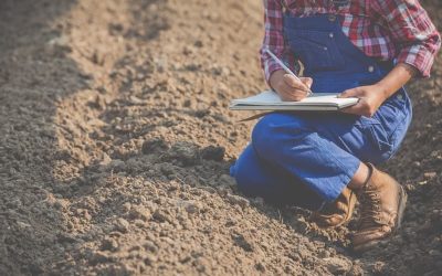 The Dirt on Soil Tests: What They Tell You About Your Soil