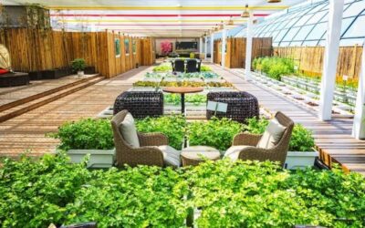 Transform Your Home with These Exclusive Luxury Landscaping Trends