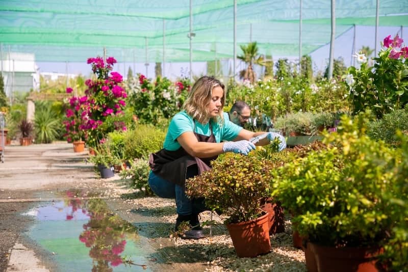 Full Service Landscaping Provider