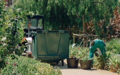 The Benefits of Hiring Professionals for Your Landscaping Needs