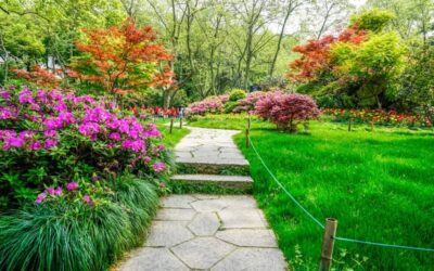 Elevate Your Yard with Focal Points and Special Features