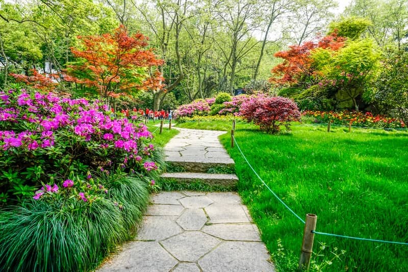 Elevate Your Yard with Focal Points and Special Features