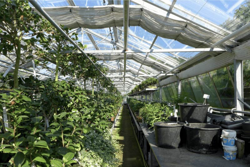 Food Producing Installations Beauty That Nourishes