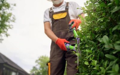 Why Homeowners Are Outsourcing Outdoor Maintenance (and Loving It)