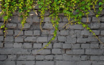 The Many Reasons to Love Retaining Walls