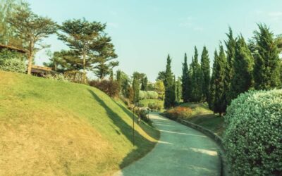Turning Your Hillside into a Breathtaking Landscape