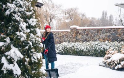 Garden Winterization Tips for Homeowners in Virginia
