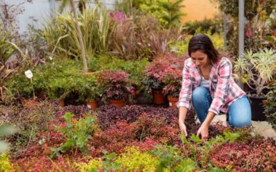 Discover Why Permaculture Landscaping Could Be Perfect for You