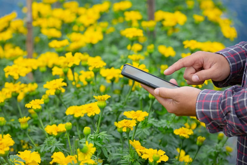 Enhance Water Conservation in Your Landscape with Smart Irrigation Design Enhance Water Conservation in Your Landscape with Smart Irrigation Design