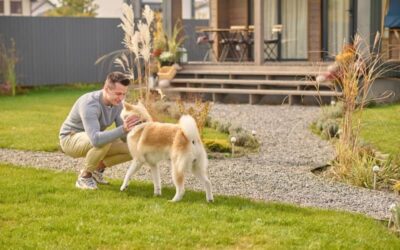 Smart Landscape Design Solutions for Dog-Digging Problems