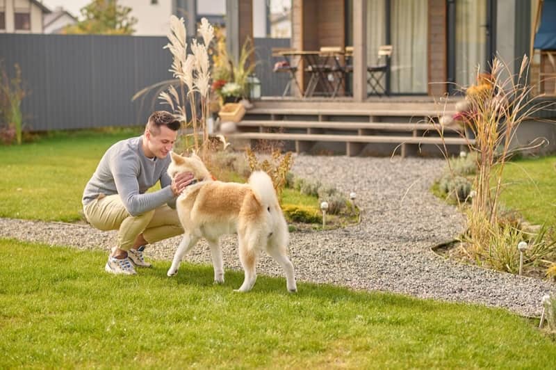 Landscape Design Solutions for Dog Digging Landscape Design Solutions for Dog Digging