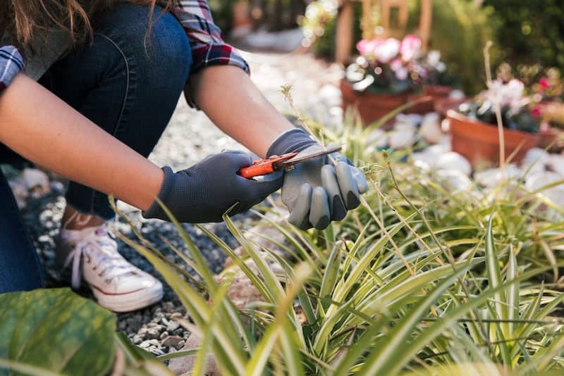 North Chesterfields Climate Demands Smarter Hardscape Maintenance
