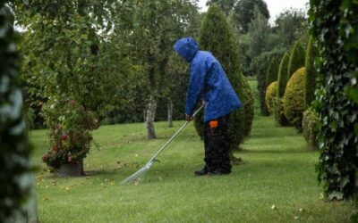 Think Your Yard Only Needs a Surface Cleanup? Think Again