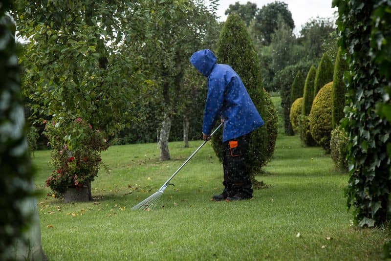 Think Your Yard Only Needs a Surface Cleanup Think Your Yard Only Needs a Surface Cleanup